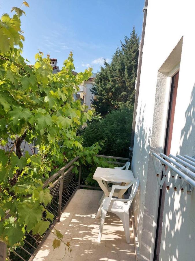 Villa Kralj Budva Exteriér fotografie